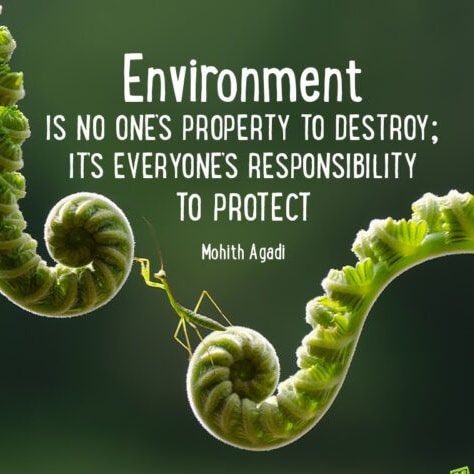 Environment is no one’s property to destroy; it’s everyone’s responsibility to protect Let’s protect the environment together and start to save the 🐝🐝🐝🐝🐝🐝🐝🐝🐝🐝🐝 change.org/SaveTheBee @BeeAsMarine