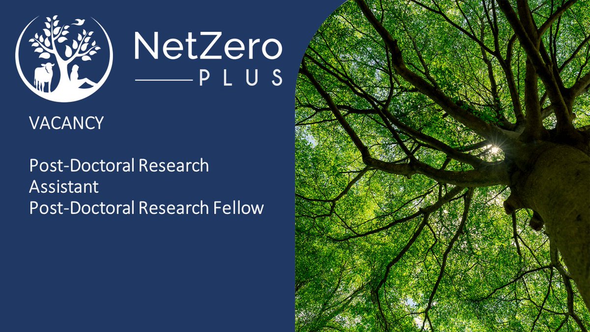 📢Job Vacancies Come & join our team of quantitative researchers developing evidence, analyses & tools to address environmental and economic challenges #netzero2050 #greenhousegasremoval #FoodSecurity #biodiversityloss Closing date: 6 May Find out more: jobs.exeter.ac.uk/hrpr_webrecrui…