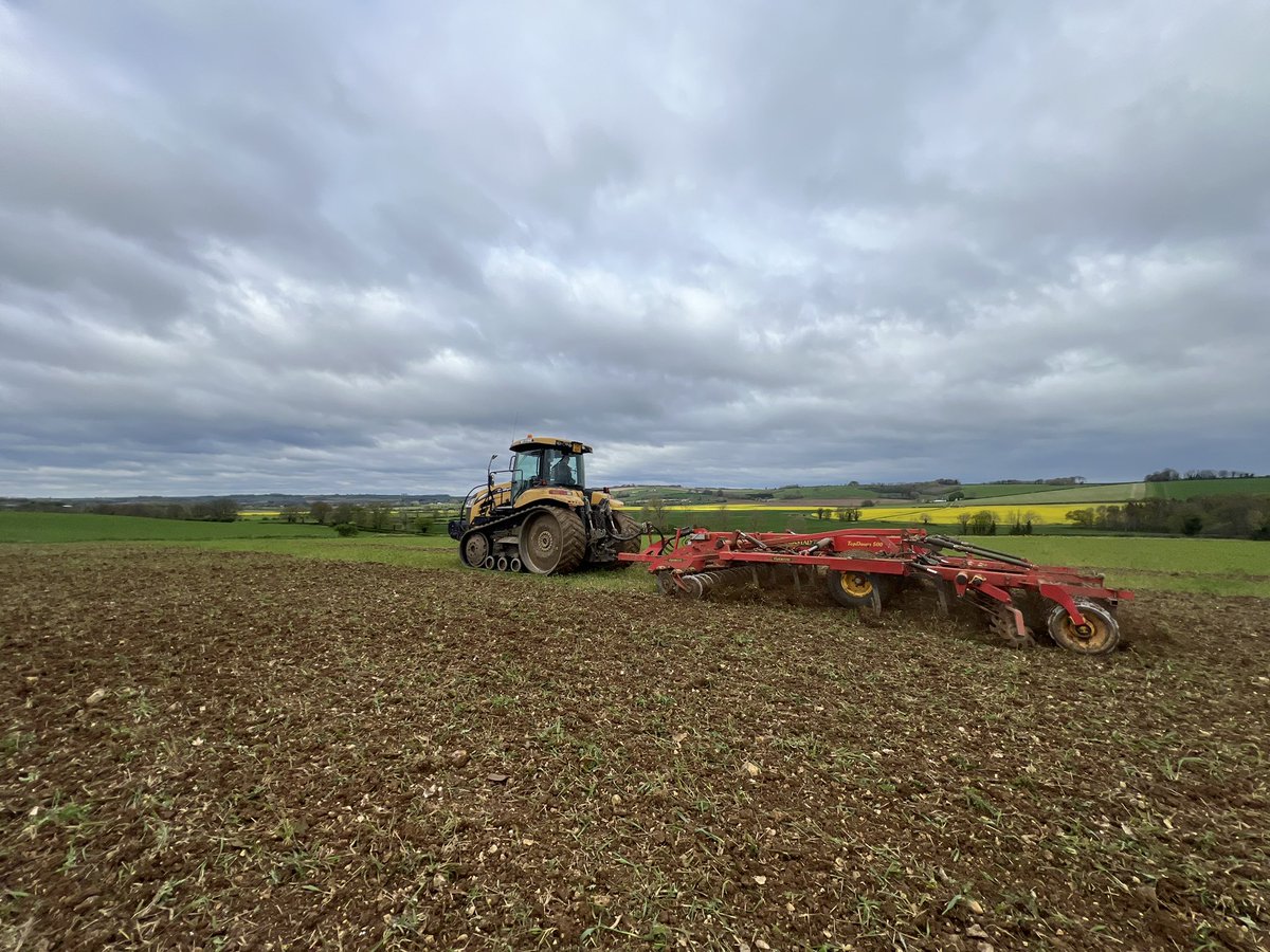 A different approach today with the @vaderstad Topdown with the aggressive points/wings added to chip over this grazed forage Rye crop, ahead of FYM applications.