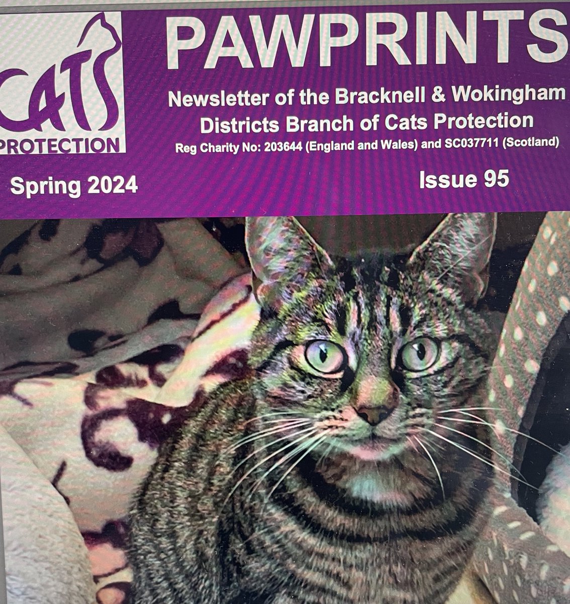 Dr Charlotte Albury tweet media