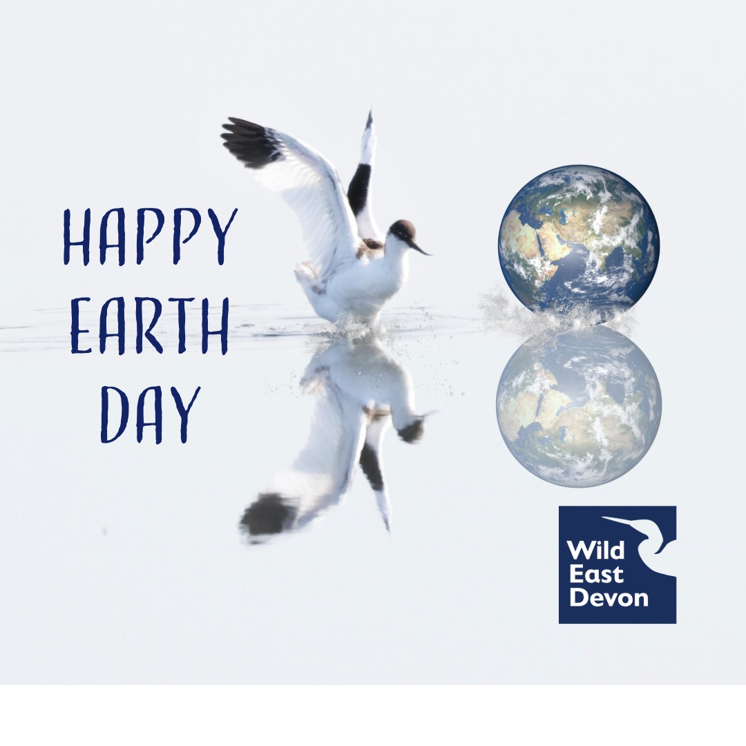 🌍Earth Day 22nd April 🌍 How will you celebrate Earth Day? 🌳Plant a tree 🐦‍⬛Put up a bird box 🥤Save on plastic and bring your own reusable cup 👣Leave only footprints, not rubbish 🏖️Get involved with a local beach clean/litter pick Love our planet every day 🫶