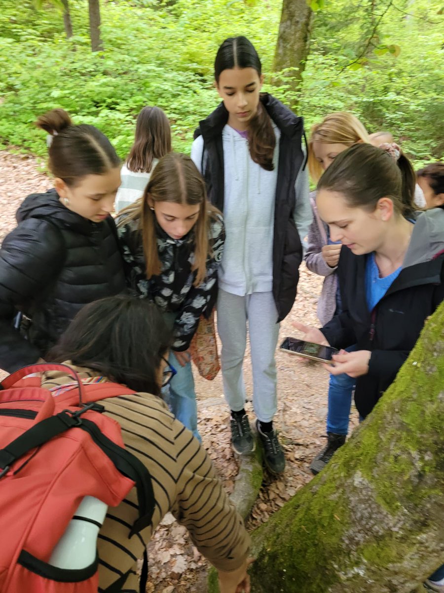 MULTIPLIERS project tweet media