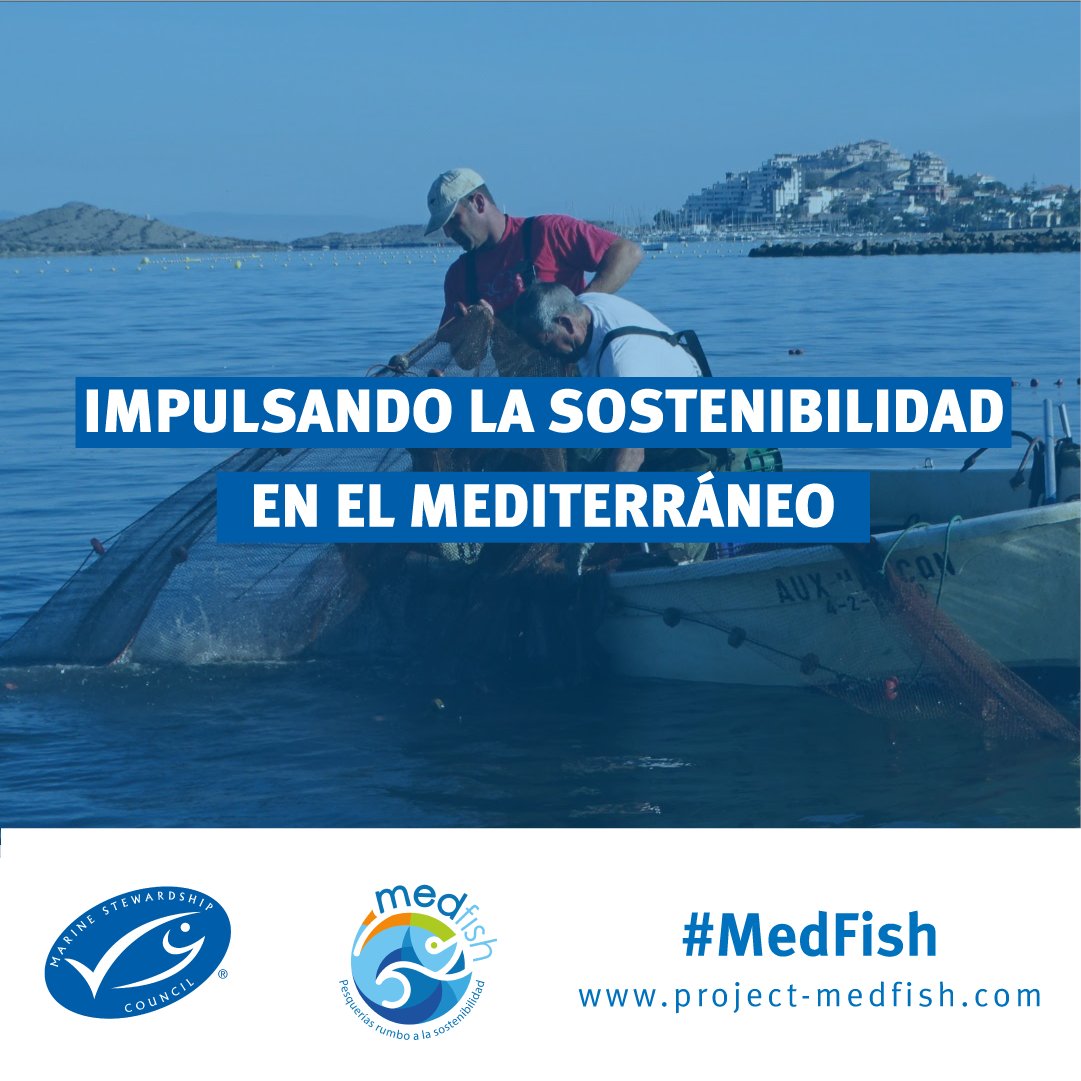 🎣🎣 #MedFish: El trabajo colaborativo del #ProyectoMedfish impulsa mejoras en las pesquerías del #Mediterraneo. ¡Descubre los logros y mejoras implementadas gracias a #MedFish en el informe #MedPath Impact! ⤵️ 
bit.ly/3TJzcVI
#PescaSostenible