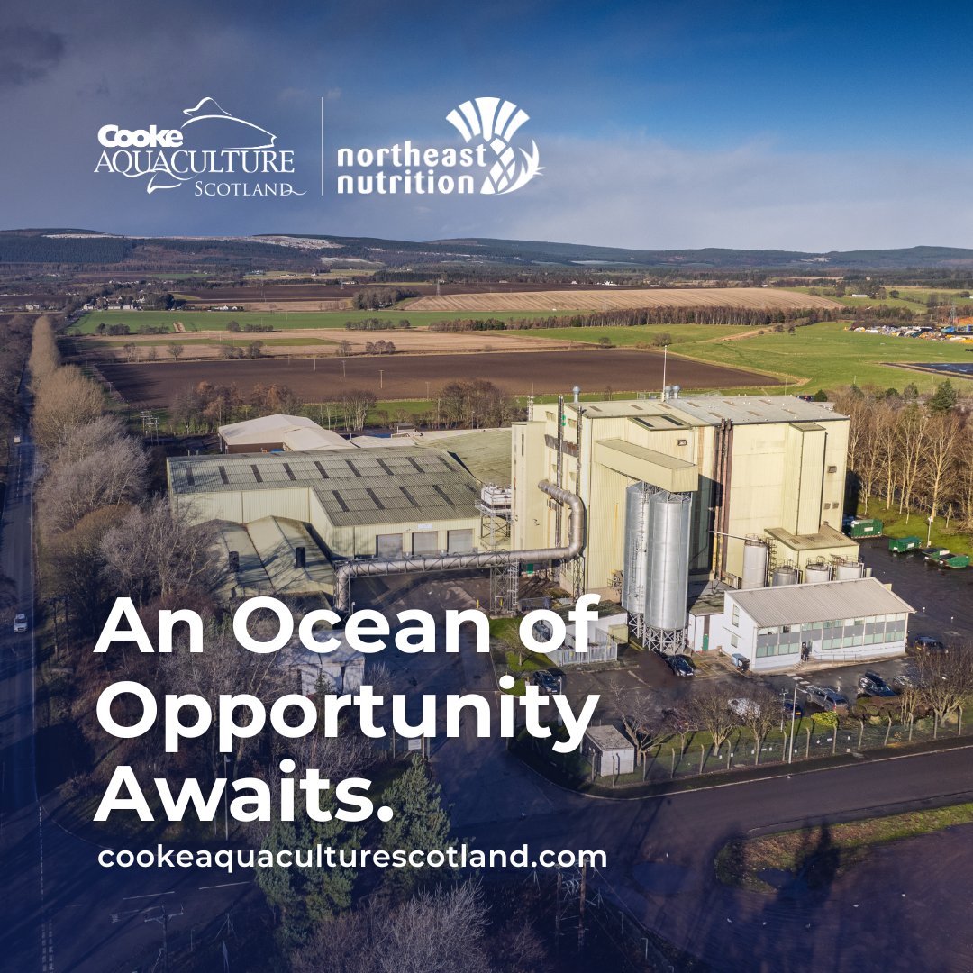 Careers with Cooke | Maintenance Engineer, Invergordon Feed Mill We are currently looking for a Maintenance Engineer to join our engineering team at the Northeast Nutrition Feed Mill in Invergordon. Closing date: 10 May 2024 For more information: bit.ly/3PxdZhh