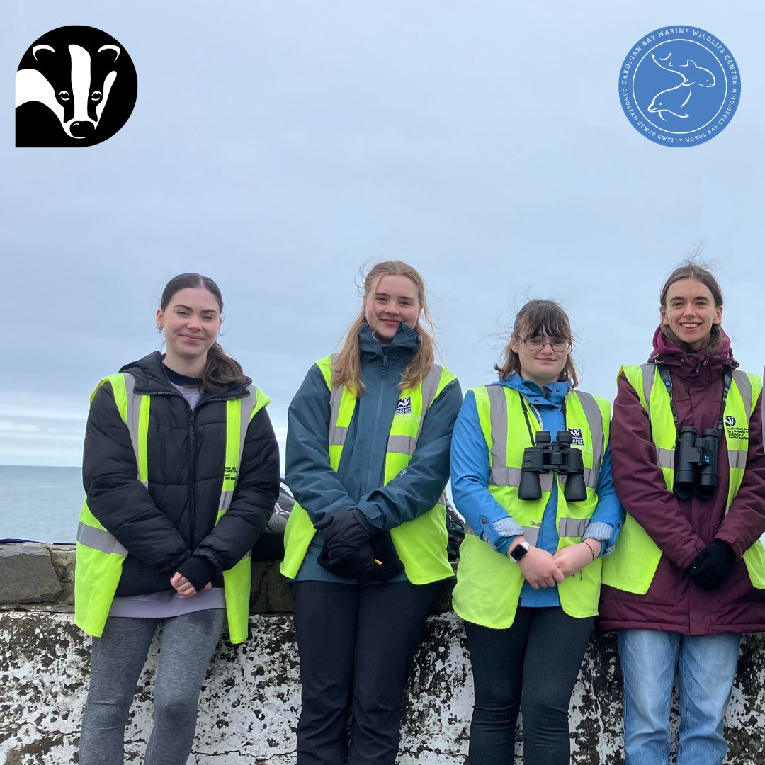 👋 We're saying goodbye to some of our seasonal volunteers 😭 ✨ We'd like to say a MASSIVE thank you to Catherine, Emily, Caitlin and Kathleen for all your help with our #marineconservation work 👏💙 @WTSWW