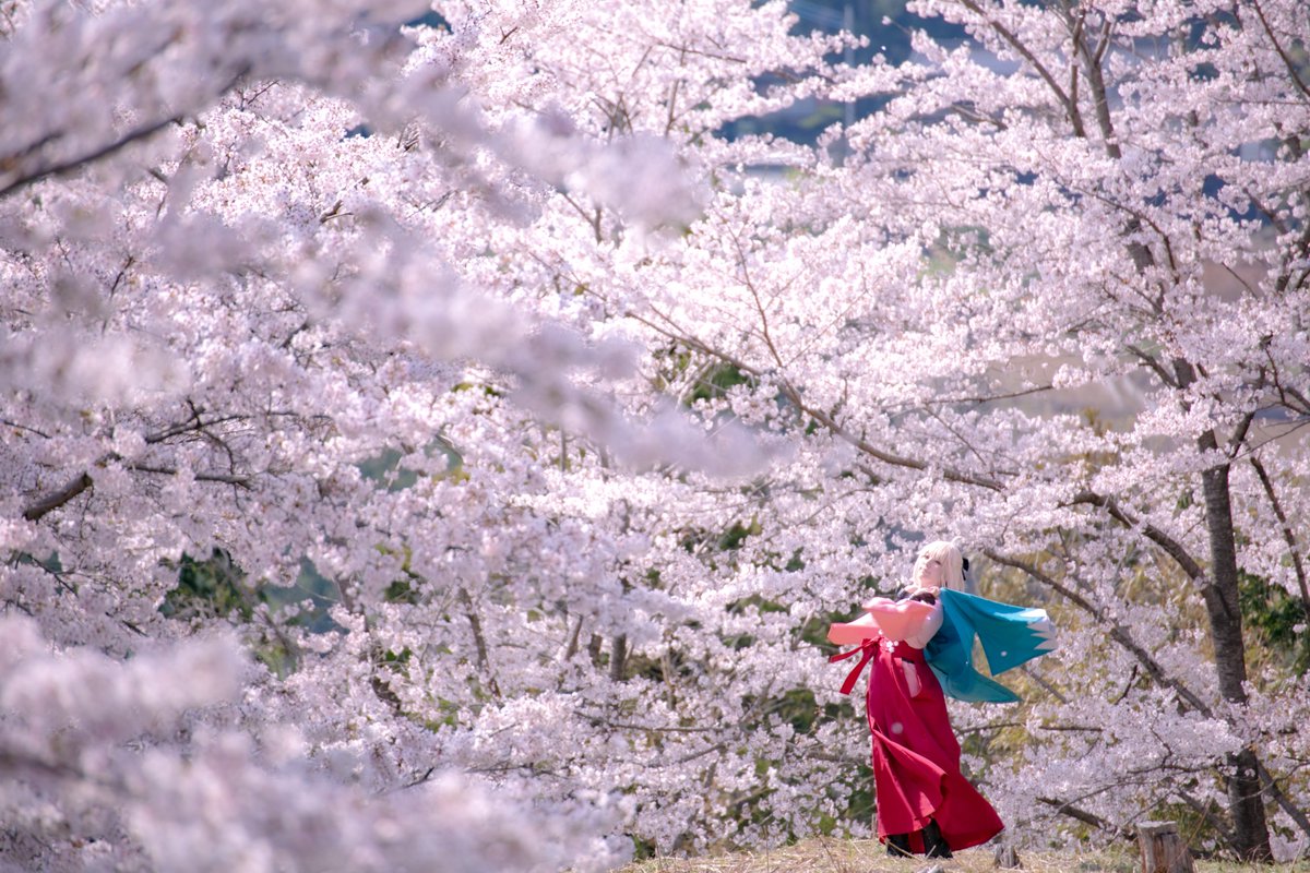 あみー🌸 ⚔️ tweet media