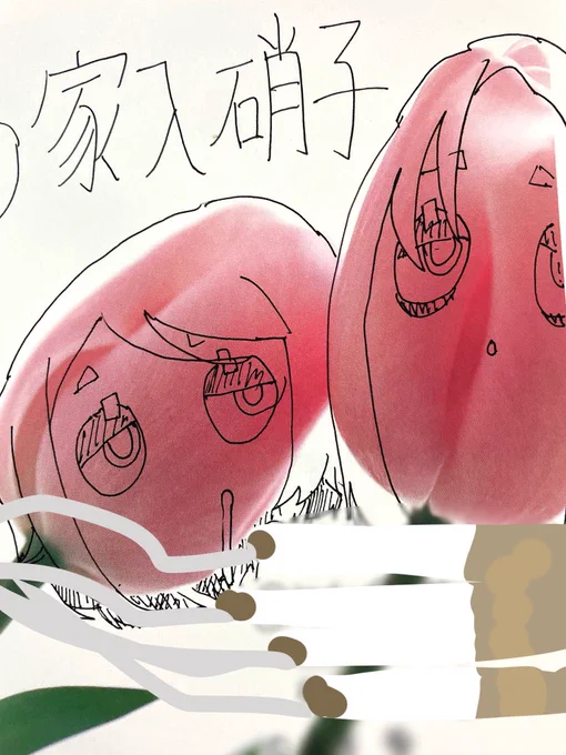 人気投票か いいね
私も地域の郵便状況を把握しているならフライング投票は積極的に取り入れて行くべきだと思うよ 