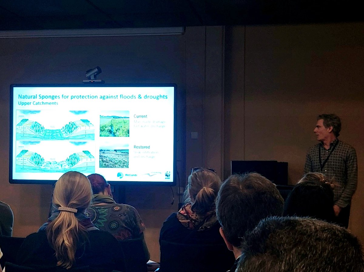 WetlandsEurope's tweet photo. "We cannot become water resilient &amp; adapt to #climate change without healthy freshwater ecosystems. A major reason that floods, droughts &amp; fires are hitting #Europe so hard is that we’ve lost so much of our #wetland sponges." 
Paul Brotherton on Freshwater
#FreeFlowConference #EU https://t.co/GI4kIwWMbC