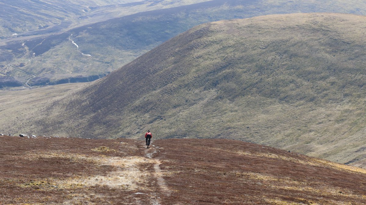 Markus Stitz tweet media