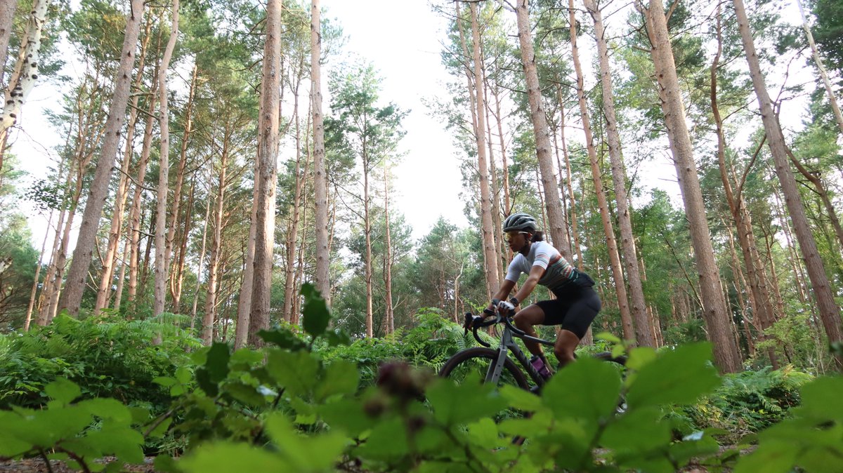 Markus Stitz tweet media