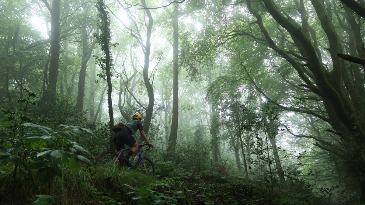 Markus Stitz tweet media