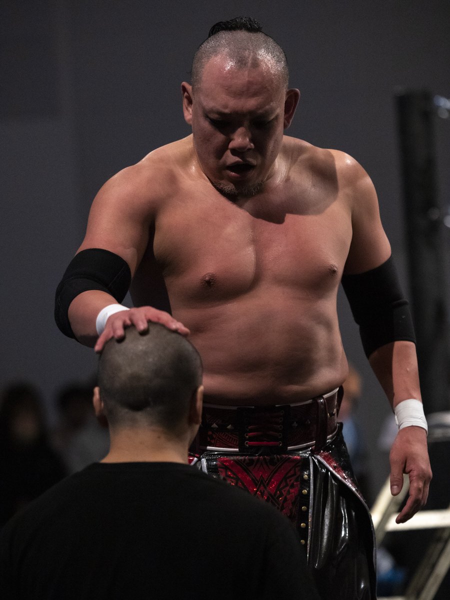 sayao380's tweet image. 2024.4.14大阪・梅田ステラホール
#GLEAT #ACTION大魔王 
#KAZMASAKAMOTO 

Tシャツ畳んでた三宅選手の頭をなでこなでこ