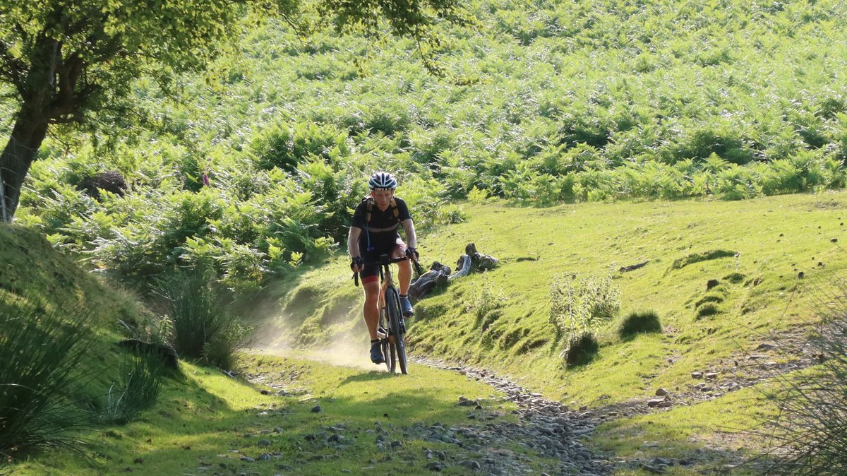 Markus Stitz tweet media