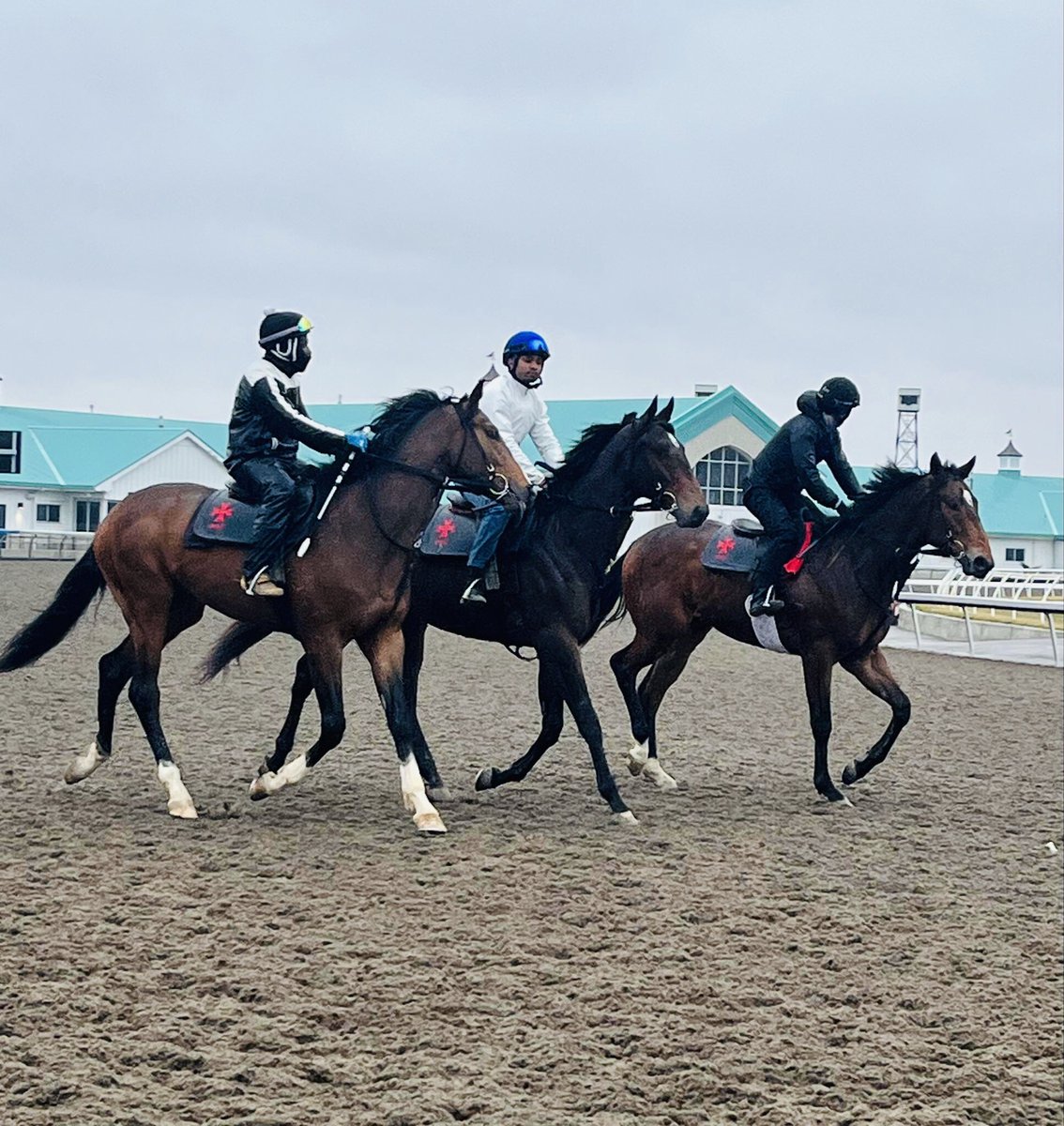ClothesHorse39's tweet photo. ~Our boys on the Main Track for the first time.~๐ธ @shirleycamhaven ๐๐จ๐ฆโค๏ธ๐ค #TeamCamHavenFarms #Thoroughbreds #HorseRacing #OntarioRacing #Munnings #Instagrand #HigherPower #Colts #TwoYearOldTuesday #BigBoys #Professional https://t.co/YsZytiYZDN