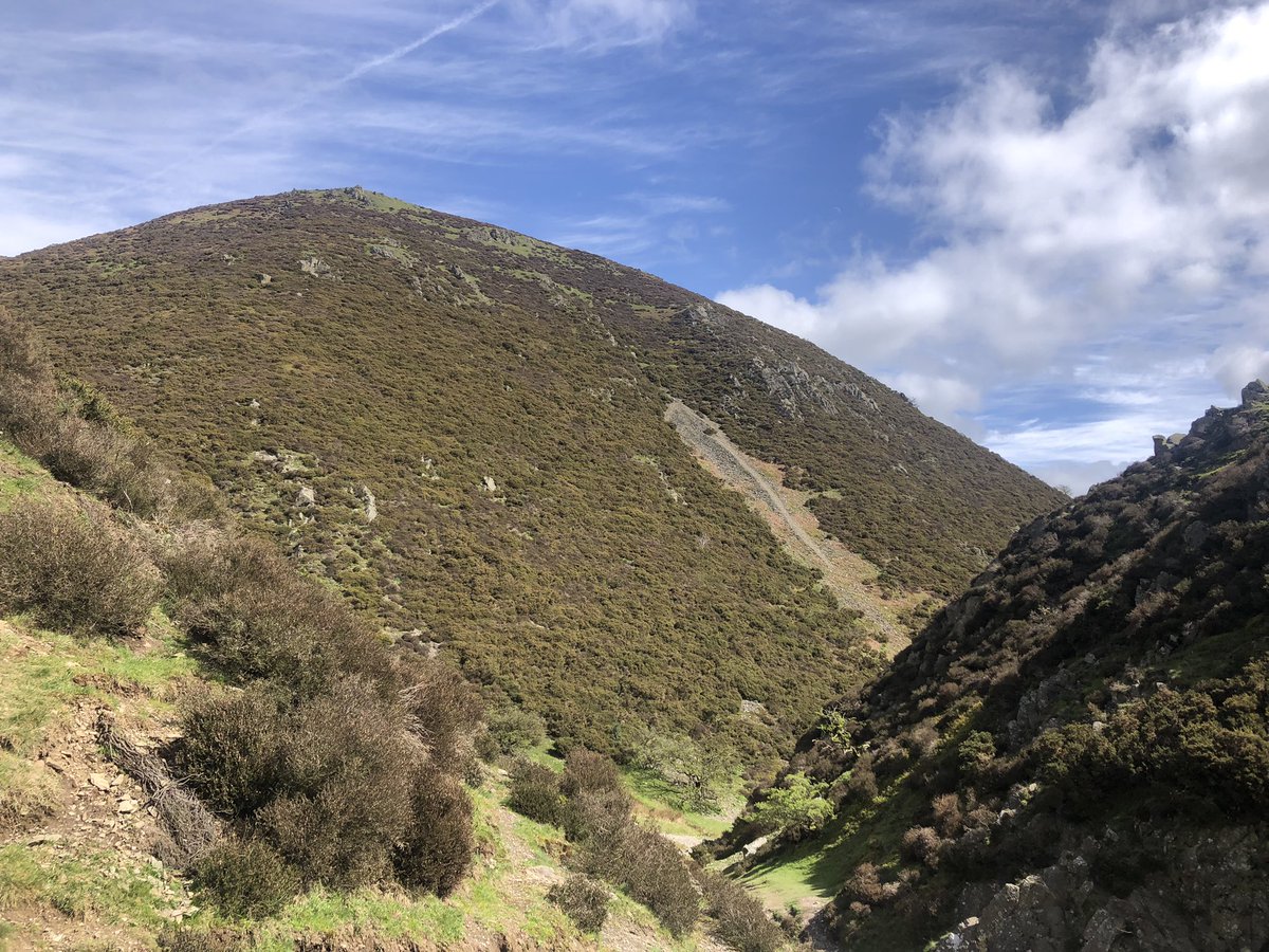 ElizabethChanVA's tweet photo. Waterfall Walk - Carding Mill Valley, Shropshire https://t.co/d5unA6394L