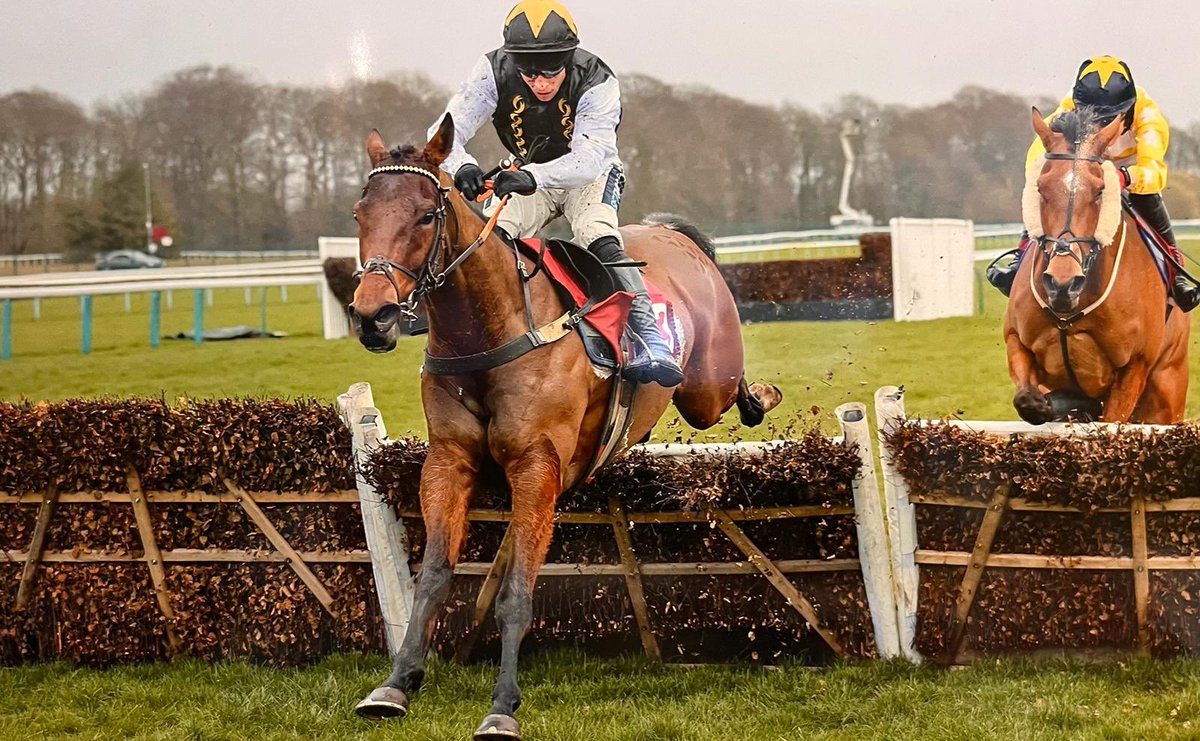 24 HOUR COMPETITION 🚨

WIN TWO SHARES IN DUAL HURDLE WINNER, GOLDEN MAVERICK! 

1. Like AND repost
2. Follow us 

The winner of a £30k handicap last time out and targeting £100k Sandown Finale next Saturday!

Closes 1pm, Wed 17 Apr. T&amp;Cs at RaceShare.com
