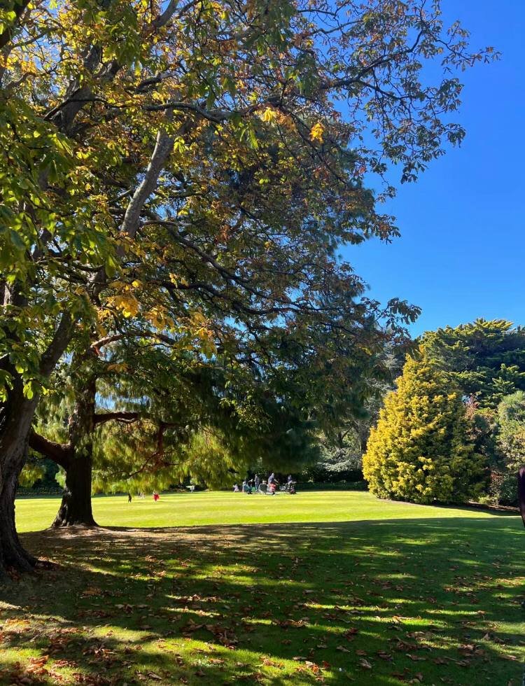 When you're tired, feel the nature.🌳🌲🌱 #photographs #landscaping #naturally