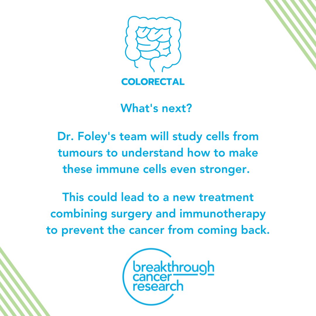 Dr. @CathrionaFoley's research aims to create a new treatment to stop the spread of #ColorectalCancer (also known as #BowelCancer) 🔍 Learn more here: breakthroughcancerresearch.ie/research/armin… #BowelCancerAwarenessMonth #CancerResearch #MakeMoreSurvivors