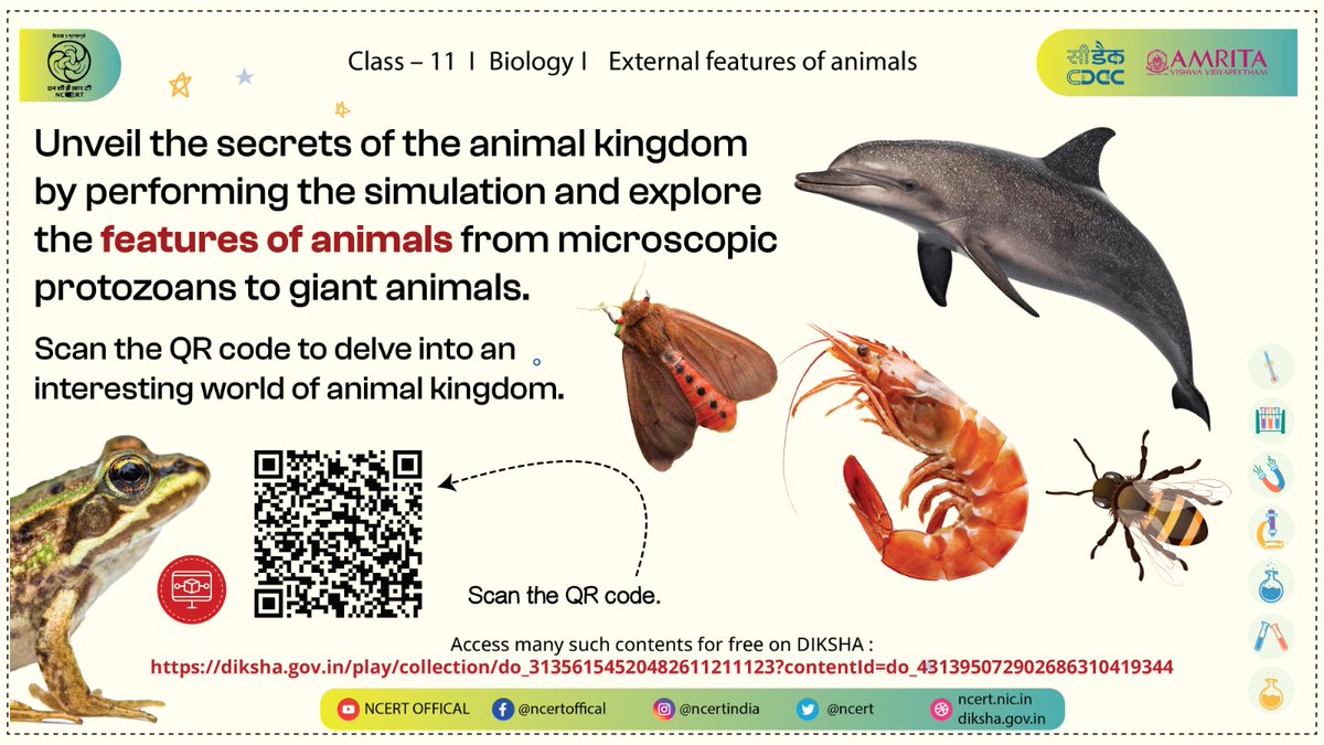 Enhance your knowledge about animals and their external features by performing the simulation and marvel at the various characteristics of different animals. Join us as we explore the animal kingdom and learn how each animal has different external features. Access the content for…