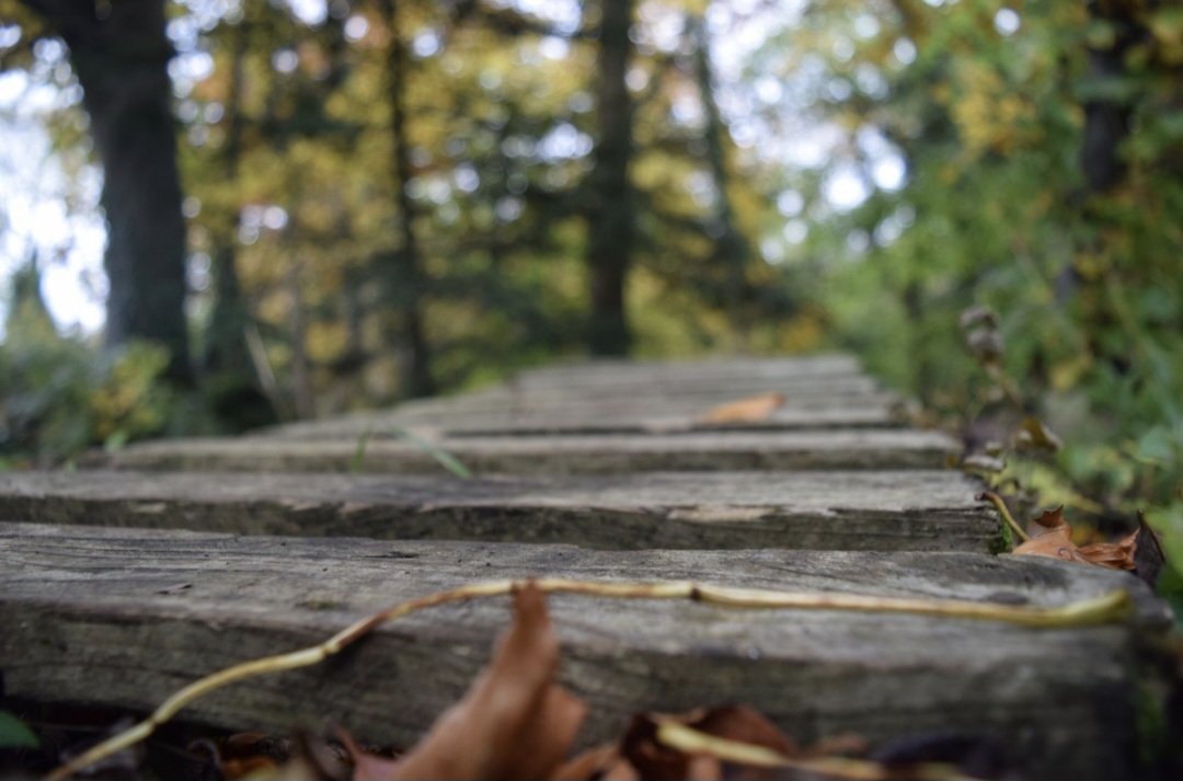 Paul Ponting 📷 Photography tweet media