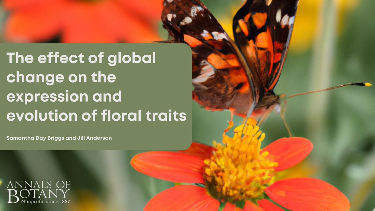 annbot's tweet photo. 🌸🦋Check out the newly published review ‘The effect of global change on the expression and evolution of floral traits’ in @annbot by Samantha Day Briggs &amp; Jill Anderson (1/8)

👉 https://t.co/bbdJ1PvBUG 

#AoBpapers #FloralEvolution #GlobalChange #Pollination https://t.co/wY4V7JZgNf