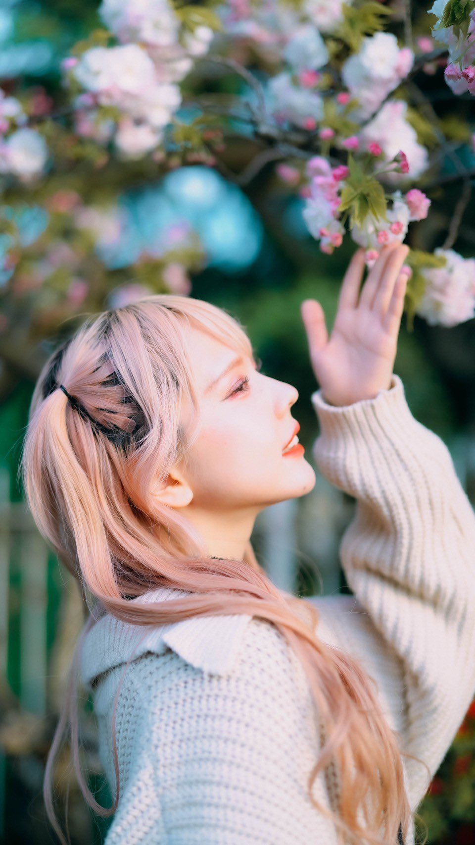 輝星楽(キララ)様 輝星【ステミレイツ】 (@kirara_stmlt) / X