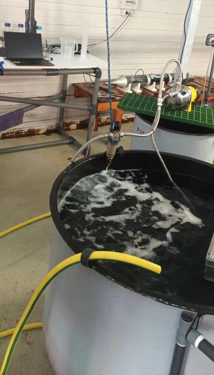 New experment! Exposure of biofilm to glyphosate @IEOoceanografia  thanks 👩🏼‍🔬🔬🧬🧪☠️ #WATERSCAN project @AECOM, #JRC, @MSCActions @H2020_impact @FonsUECat @accio_cat