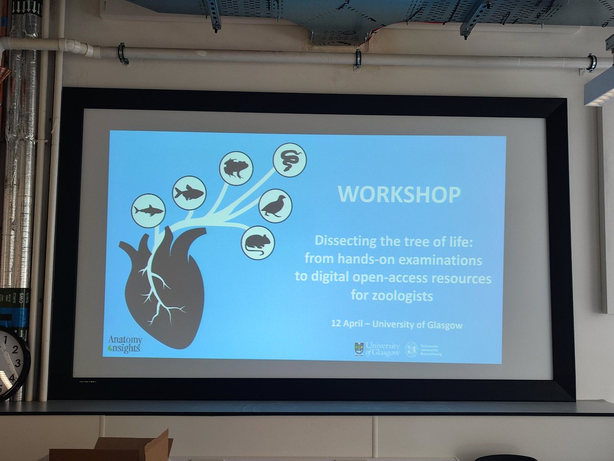KRuthsatz's tweet photo. Many thanks again to all attendees of our @AnatomyInsights workshop "Dissecting the Tree of Life" last week @UofGlasgow ! We had a fantastic time exploring the comparative anatomy and physiology of vertebrates. See you next year in #Glasgow! @shaunkillen @Zoology_Museum https://t.co/Vnu1leQm9E