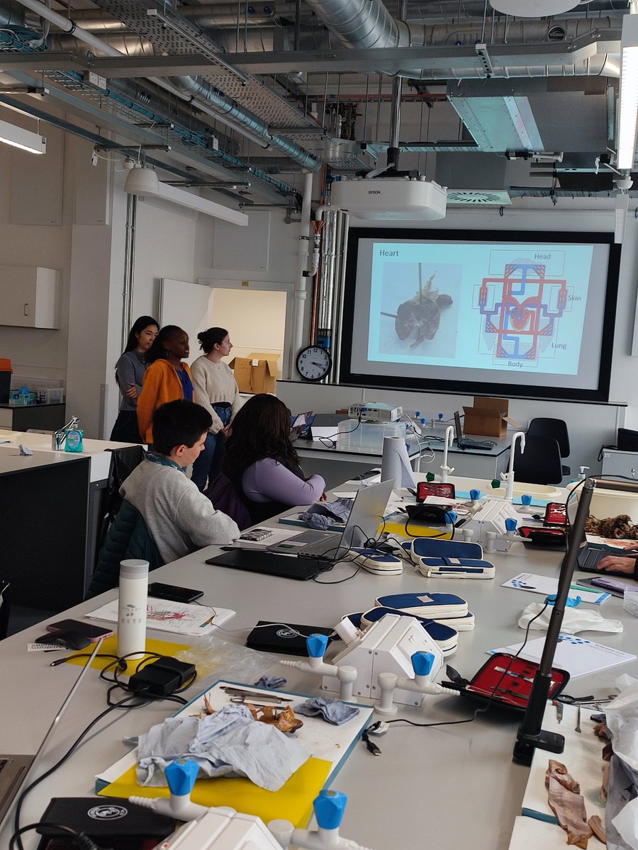 KRuthsatz's tweet photo. Many thanks again to all attendees of our @AnatomyInsights workshop "Dissecting the Tree of Life" last week @UofGlasgow ! We had a fantastic time exploring the comparative anatomy and physiology of vertebrates. See you next year in #Glasgow! @shaunkillen @Zoology_Museum https://t.co/Vnu1leQm9E