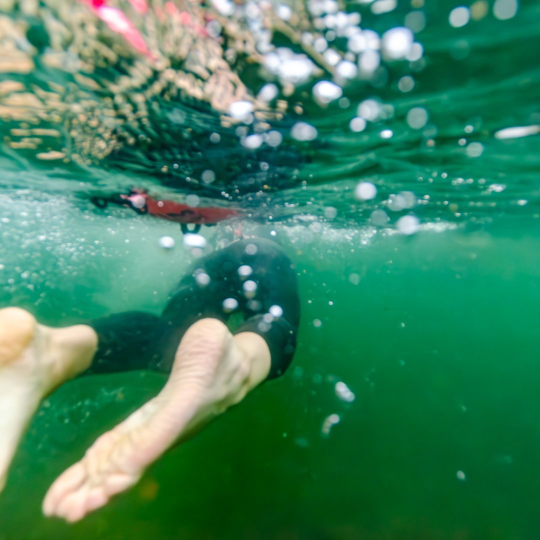 Gaelforce Events guide to open water swimming

Learn about the basics, equipment, techniques, breathing and more. Check out the link 👉 gaelforceevents.com/en/the-gaelfor… 

#gaelforceevents #togetherwethtive #openwaterswimming #wildswimming #swimming #goodforthesoul #river #lake #sea
