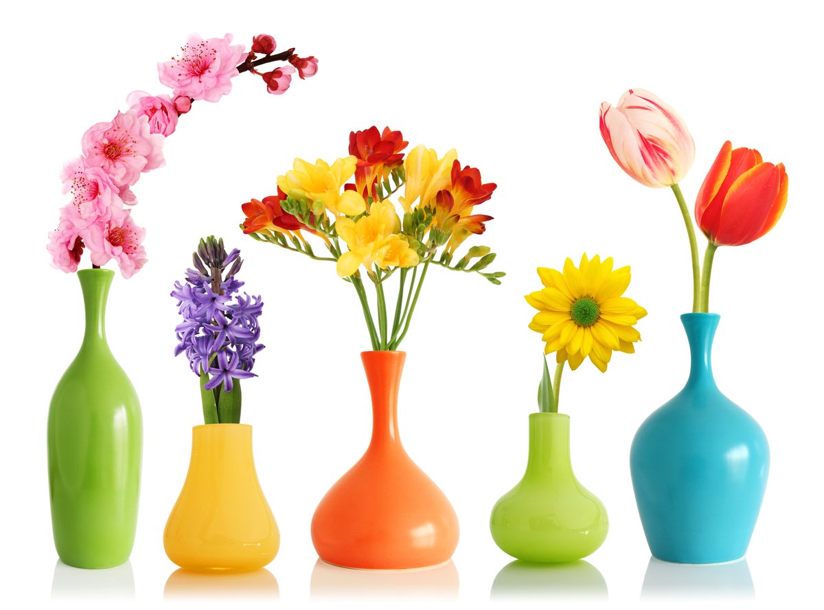 For Admin. Professionals Week (4/21), celebrate with a splash of color! 🌾🌷🏵️ Our designers will craft a stunning, petite bud vase that's just the right size for small spaces but big in cheer & appreciation.

#adminweek #admins #thankyouflowers #pughs #memphisflorist #florist