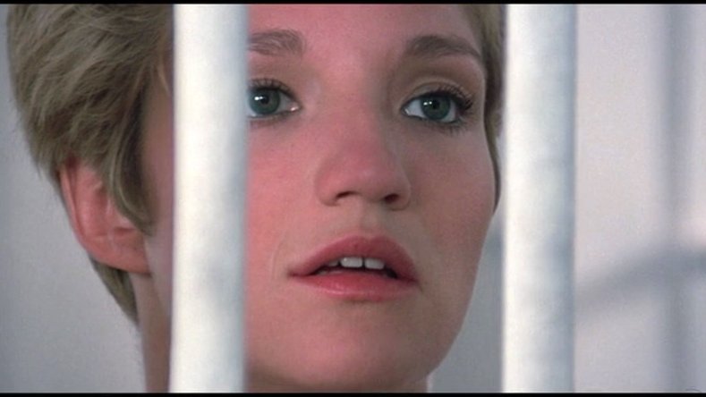 Stephen Gibbons tweet media