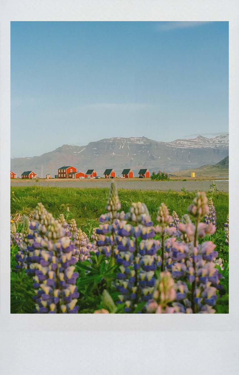 Alex Kittoe tweet media