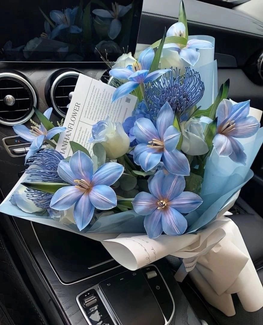 blue flowers bouquet 🩵