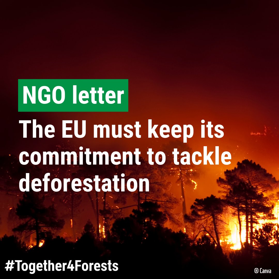 🚨The landmark EU deforestation law is under threat! 🌲 #EUDR We've joined over 170 NGOs to call on President @vonderleyen to stand by her commitment to tackle deforestation & not to weaken efforts by industry groups & 🇪🇺 countries! bit.ly/3JmOACK #Together4Forests