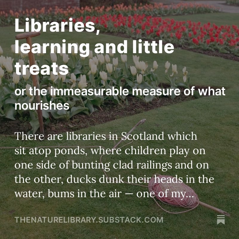 New post on libraries, learning and little treats, and nourishment and human needs, and supermarkets. (Also contains news of the next pop up location, and it’s a good one.) open.substack.com/pub/thenaturel…