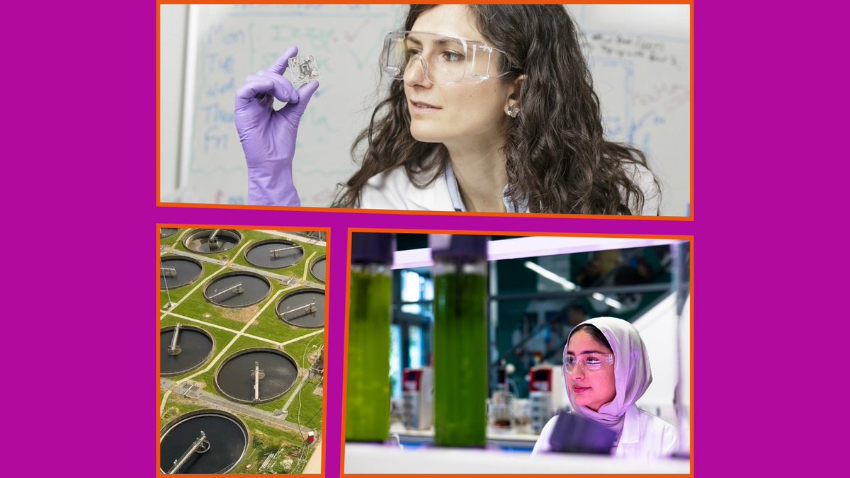 🌟 In #ChemEngBath50 week 9 we celebrate: 

- Turning urine into power! 🔋 bit.ly/4cXk3c0
- Rethinking wastewater 💦 bit.ly/3xz6XS7
- Basrah’s inspiring Women in STEM scholarship journey 🌍bit.ly/3VV8fkq

 #EngineeringChange #SustainableEngineering
