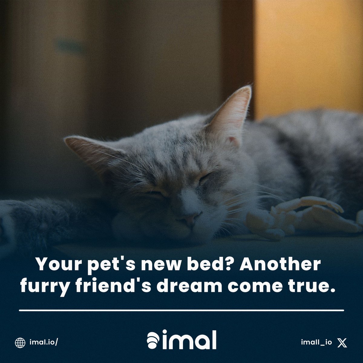 Sunshine and sweet dreams, make a difference with IMAL!
