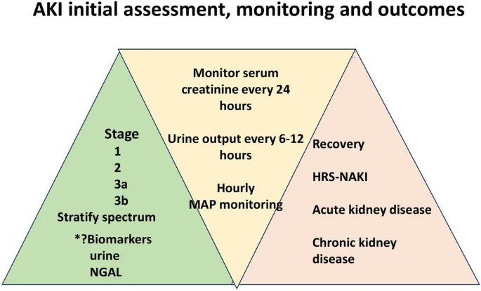 Hepatology International tweet media