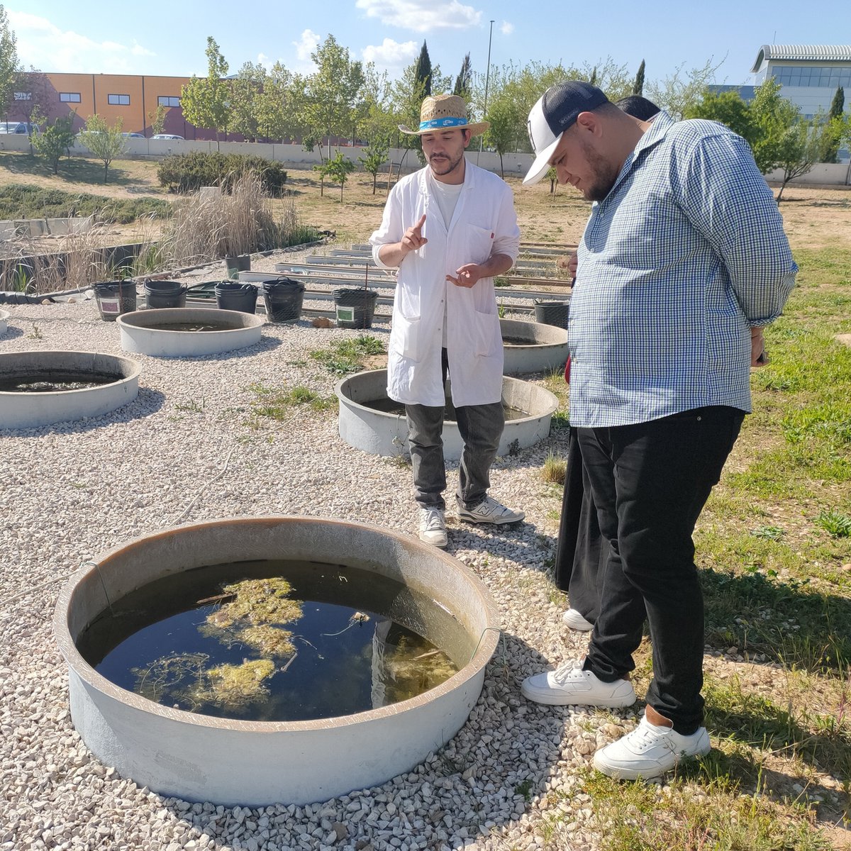 IMDEA_Agua's tweet photo. Ayer recibimos la visita de dos participantes en el Programa Puentes de Talento, promovido por el @iLABMadrid del Ayuntamiento de Madrid y que pretende introducir a profesionales de Iberoamérica en el ecosistema de innovación de Madrid.
+info: https://t.co/BEsQfgqM3H https://t.co/PFvPxz2XtU