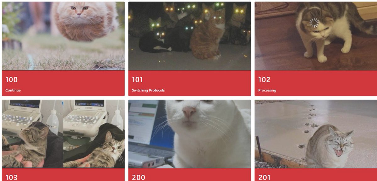 sarafdez's tweet photo. Want to make learning status codes fun? ๐ป Explore cute cat illustrations at https://t.co/MAxTPTVic6! Thanks @dergal for sharing this with me, and kudos to @rogeriopvl for creating it! #httpcats #statuscodes #http https://t.co/13mD79nRAI
