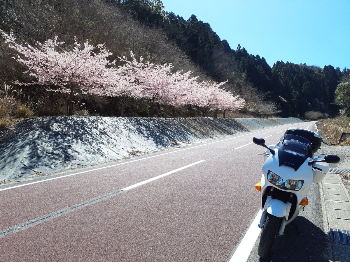 本田ゆめ@バイクに乗った縄文人 tweet media