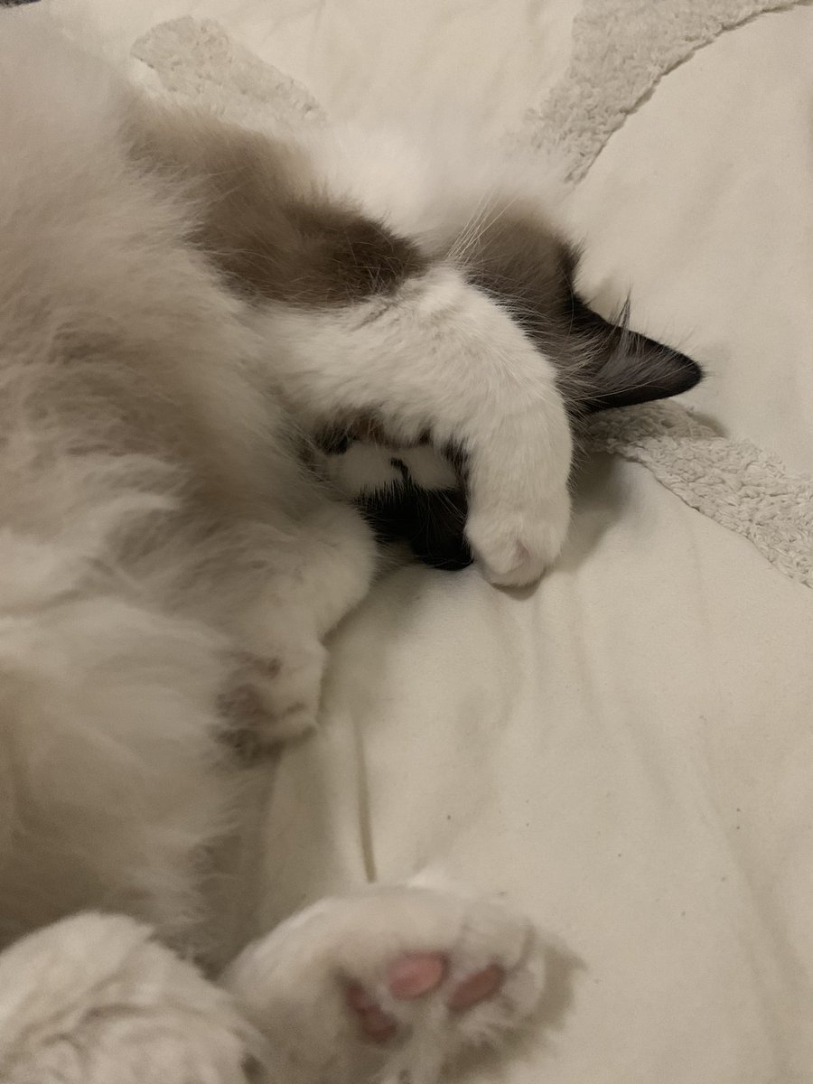 ph1ange's tweet photo. The sleeper https://t.co/CpRZ6z0UTT