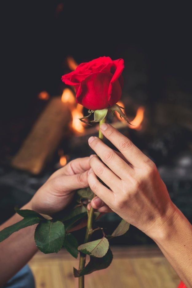 En esa rosa encendida 
Que colocas en mi mano,
Viene el gesto más ufano
De pasión enardecida.
Ahí viene un trozo de vida 
Para alimentar mi alma,
Viene tu aroma q calma
Huracanes y tormentos
Viene como brisa y siento
Que me reanima y me salva.

#MiLugarFavorito ♥️🎯