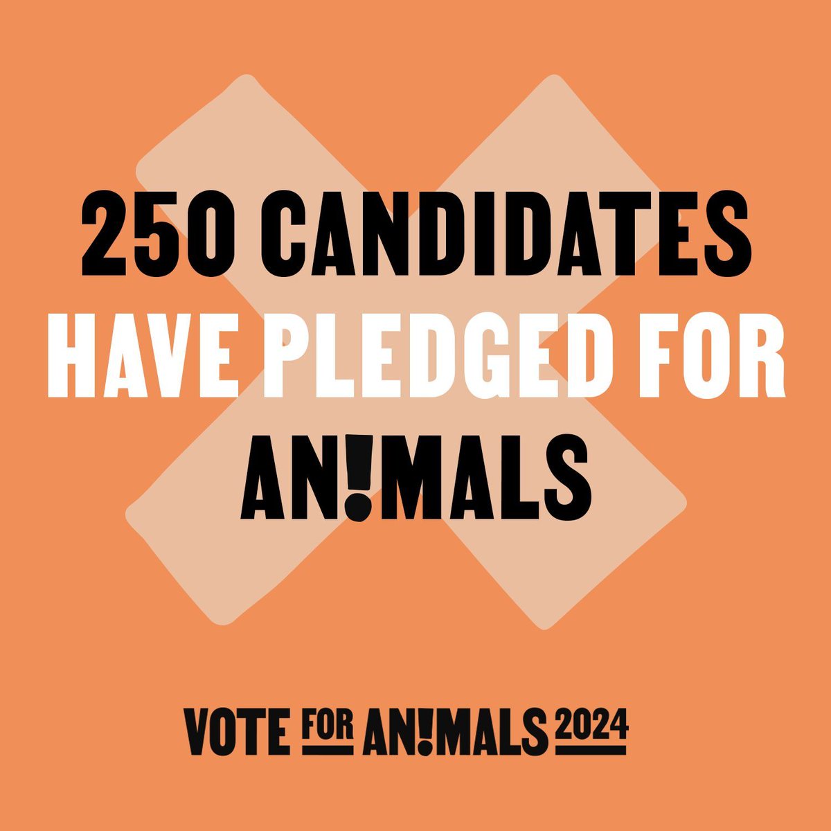 🙌 Over 250 candidates have taken the #VoteforAnimals pledge, committing to doing better for animals if elected in the #EUelection2024!

📣  Citizens want higher #animalwelfare standards. Be their voice in the next term, sign the pledge: voteforanimals.org
