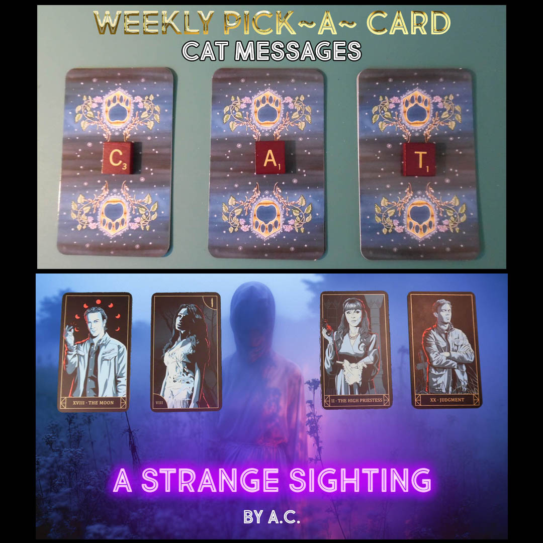 Today is the day for CAT Lovers at Conversations with Sakeina youtube.com/watch?v=4Vbdvp… and also another spooky story day youtube.com/watch?v=Sj8lcx… ENJOY! #tarot #tarotreading #spiritguides