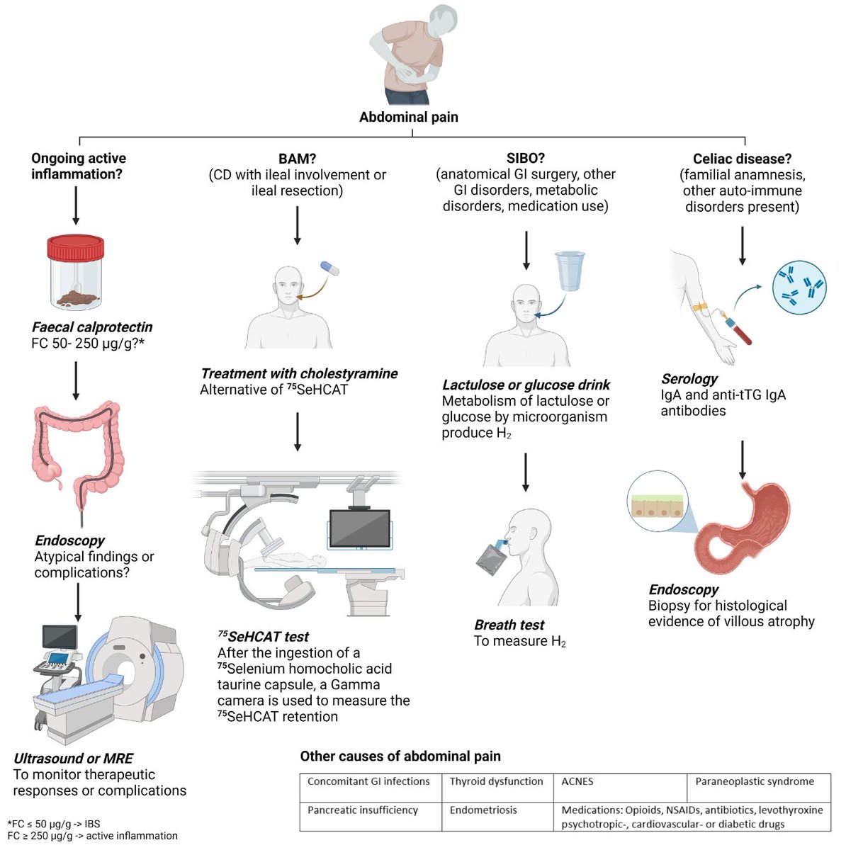 Yiyuan_Tan's tweet photo. 1/3 of IBD patients in biochemical remission have IBS-like symptoms, and those with altered anatomy require careful consideration of differentials.

An excellent paper on abdominal pain and IBS-like symptoms in IBD! 👇@AndrewOngML
https://t.co/0tlwBtkduy

#IBD #ibs #GITwitter https://t.co/GGP1cfZxHf