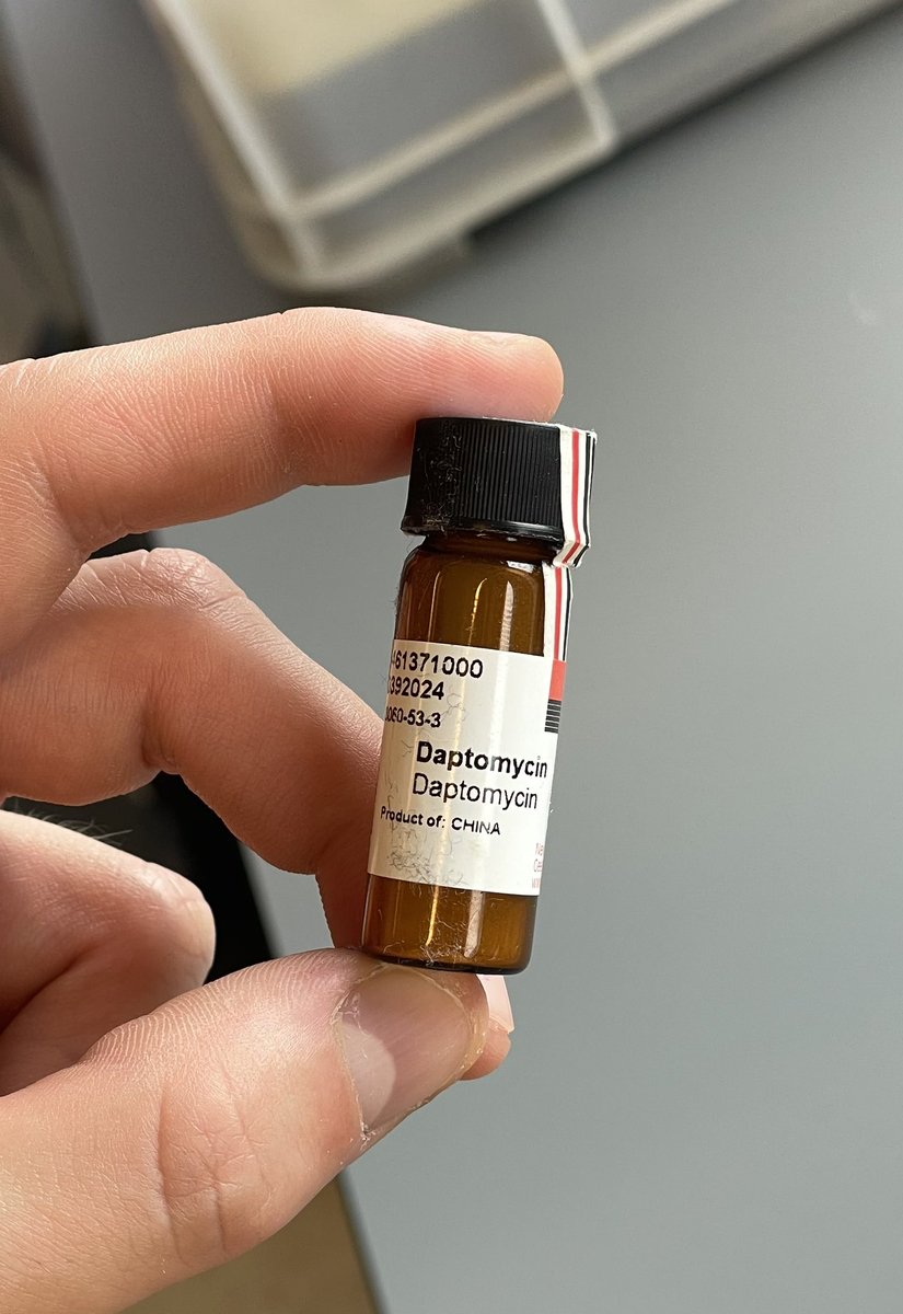 Me when I dap up the devil.