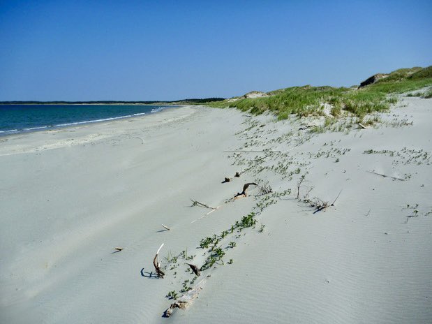 We are fortunate to have these wonderful sandy beaches in this area. There are rarely any people on them. I have often spent days hiking these beaches without encountering another person. My kind of beach.