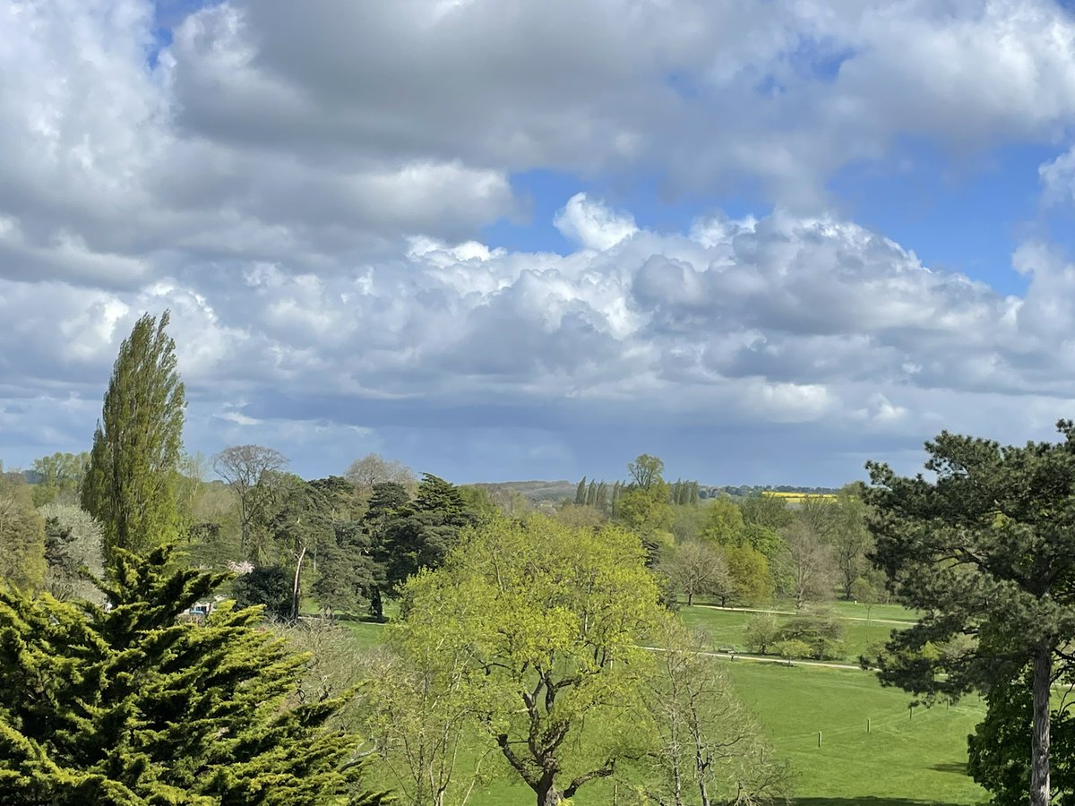 Amazing views across University Parks from our seminar room today…